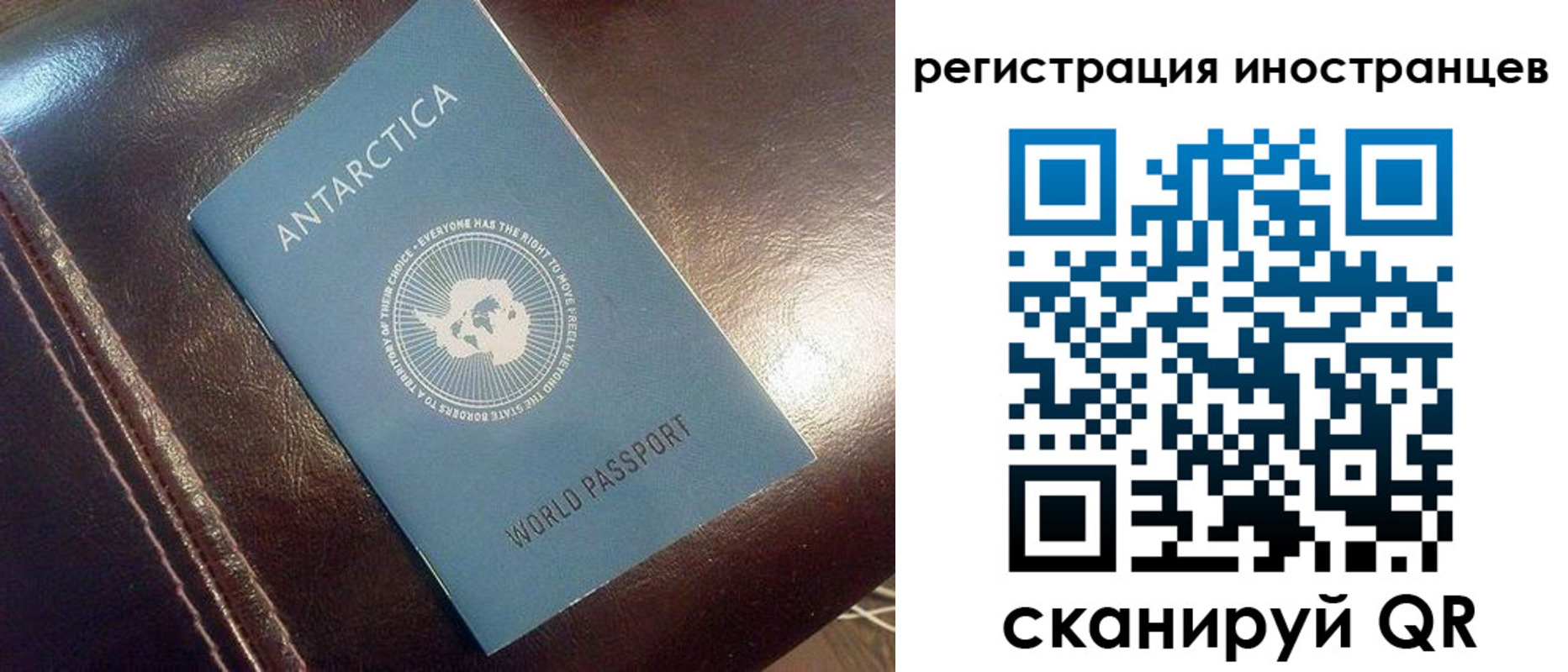 прописка иностранных граждан в Лузе